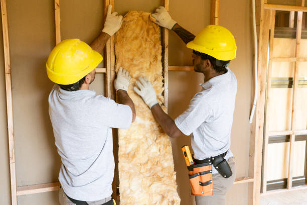 Best Attic Insulation Installation  in Olathe, KS