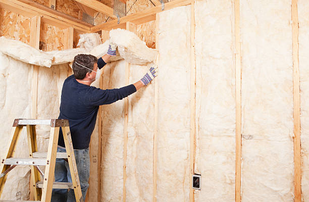 Best Garage Insulation  in Olathe, KS